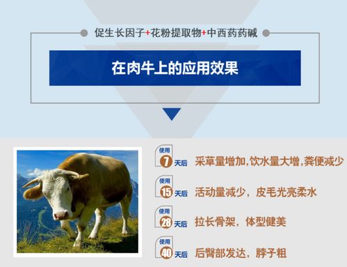 牛用快速催肥剂选购指南 产品、价格与厂家批发信息