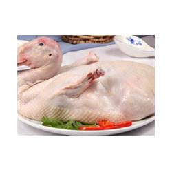 家禽配送的专业之选 苏州北半球食品公司与衢州家禽的完美结合