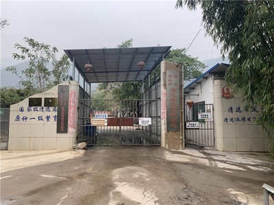 凤中皇清远鸡工厂探秘 安全生产背后的家禽管理智慧